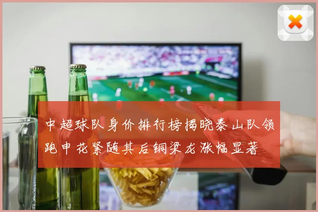中超球队身价排行榜揭晓泰山队领跑申花紧随其后铜梁龙涨幅显著